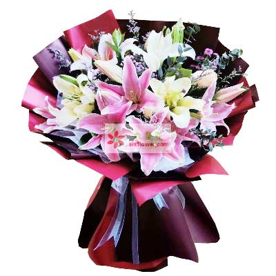 汕头8支百合花，天天开心